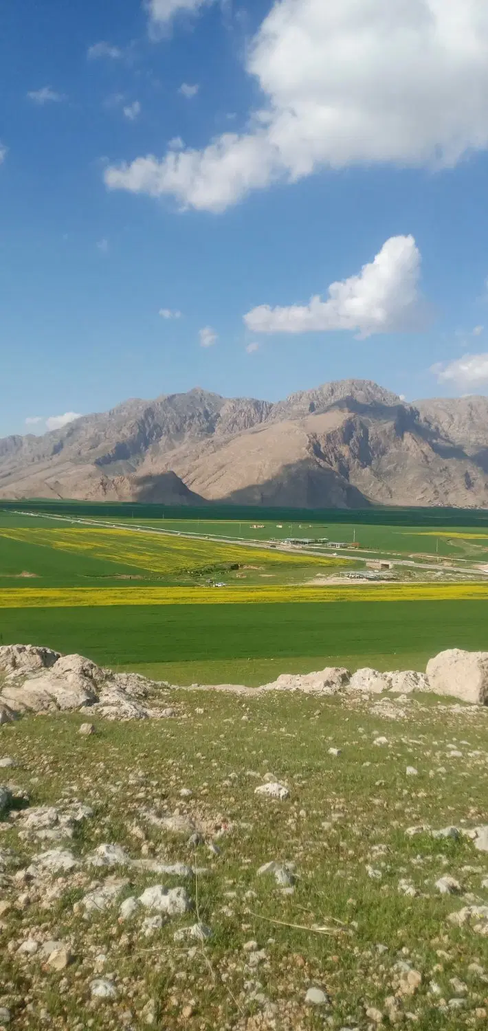 زمین فروشی ۷در۱۸_۷۰