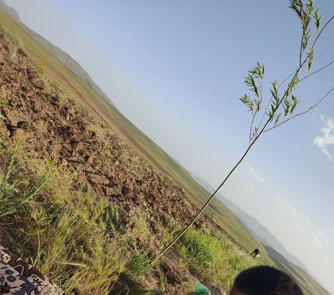 زمین باغی کهل