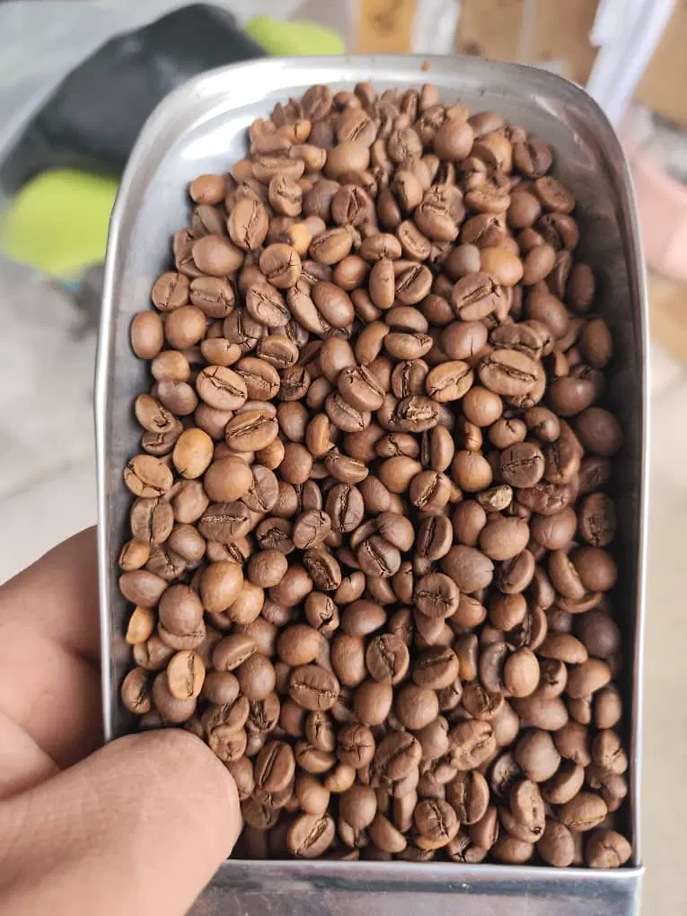 واگذاری کافه با ده سال ثابت