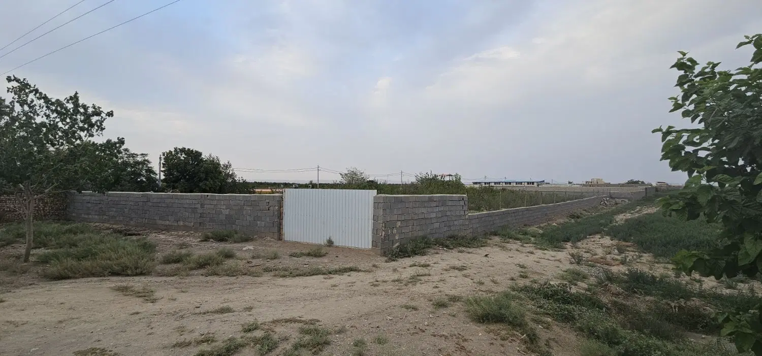 باغچه فروشی