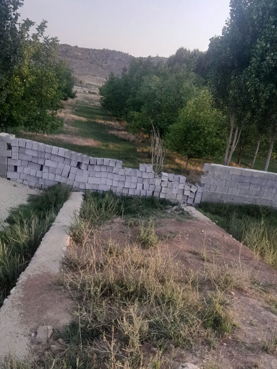 باغ  روستای چهل چشمه