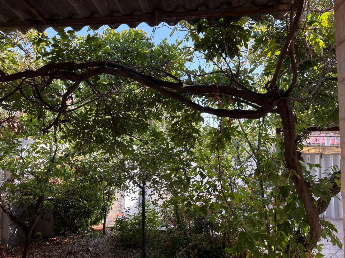 ویلایی گلبهار