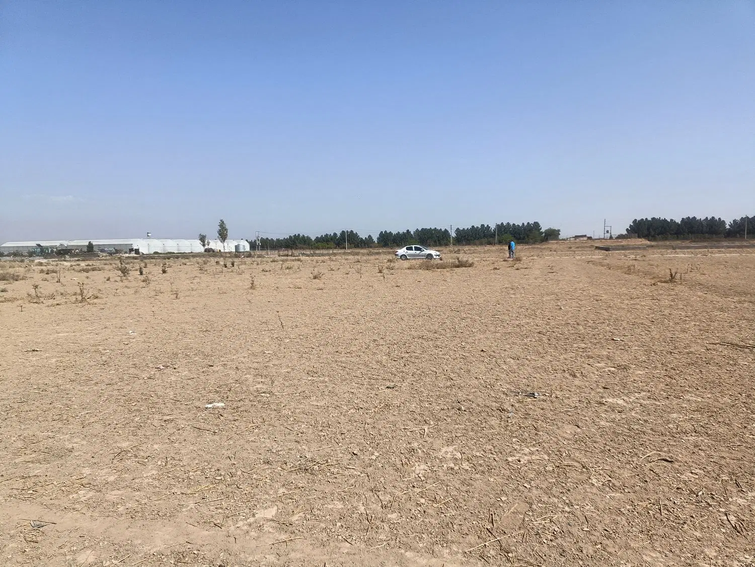 زمین