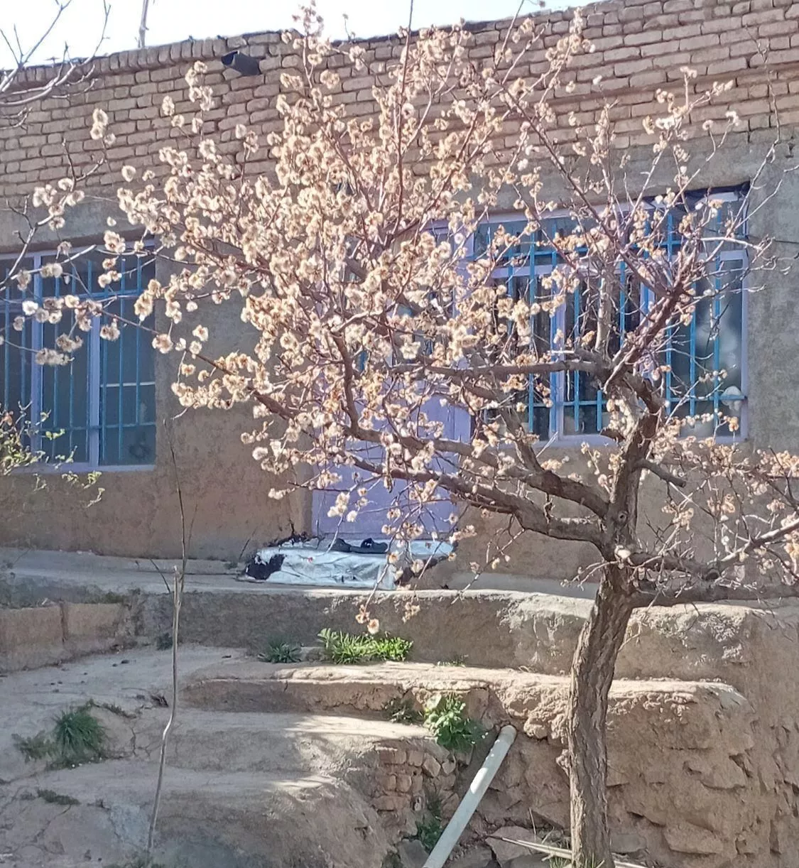 سوئیت اجاره ای روستای ابر