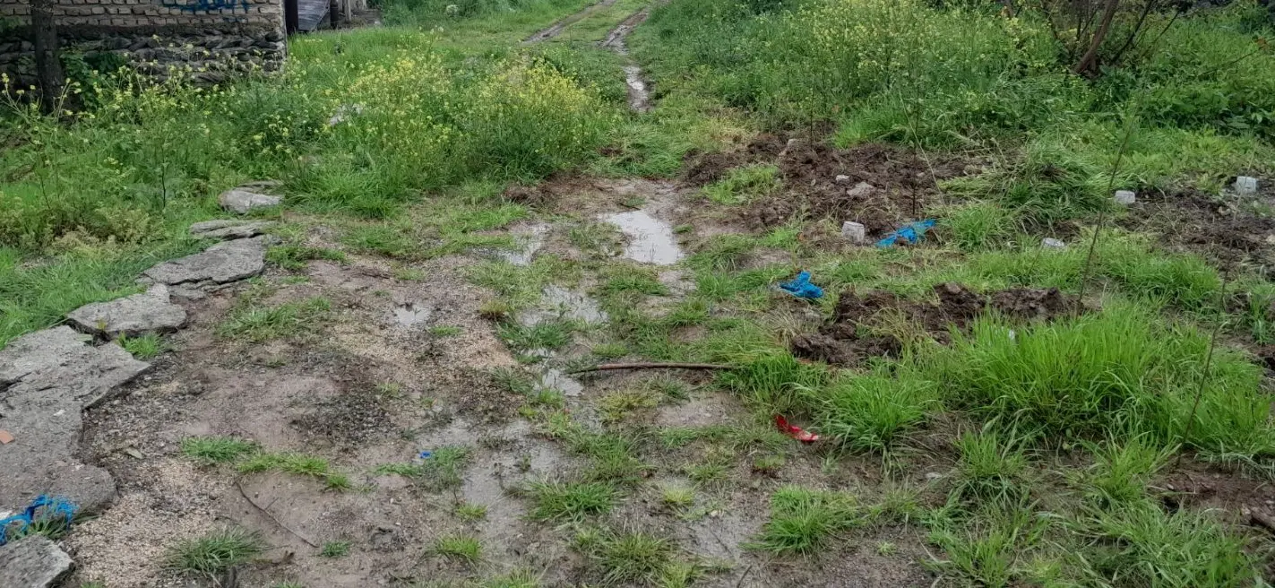 زمین فروشی در روستای بالاجاده