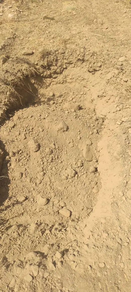 زمین خیابان بهداشت