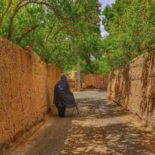 زمین شهیدیه