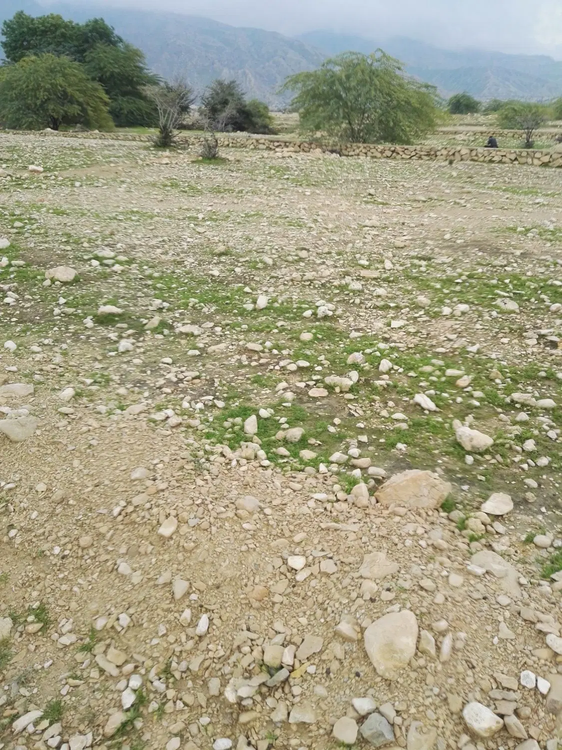 زمین 400متری