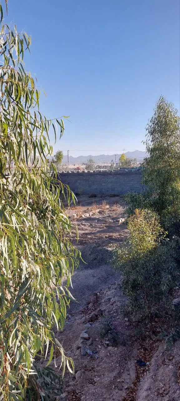 چهاردیواری مجموعه باغی_۲۵۰متری