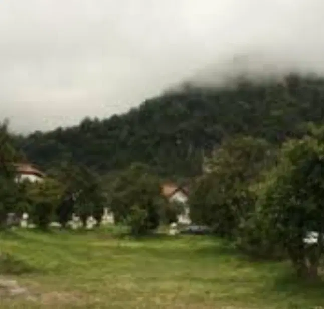 زمین مسکونی ۲۰۱ متر