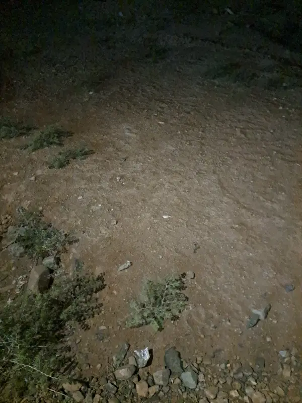 زمین مسکونی