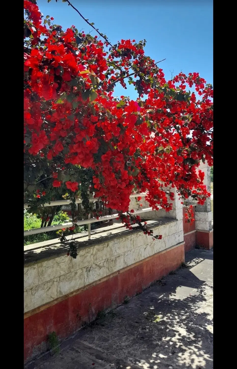 معاوضه با آپارتمان در مشهد یا خودرو لوکس