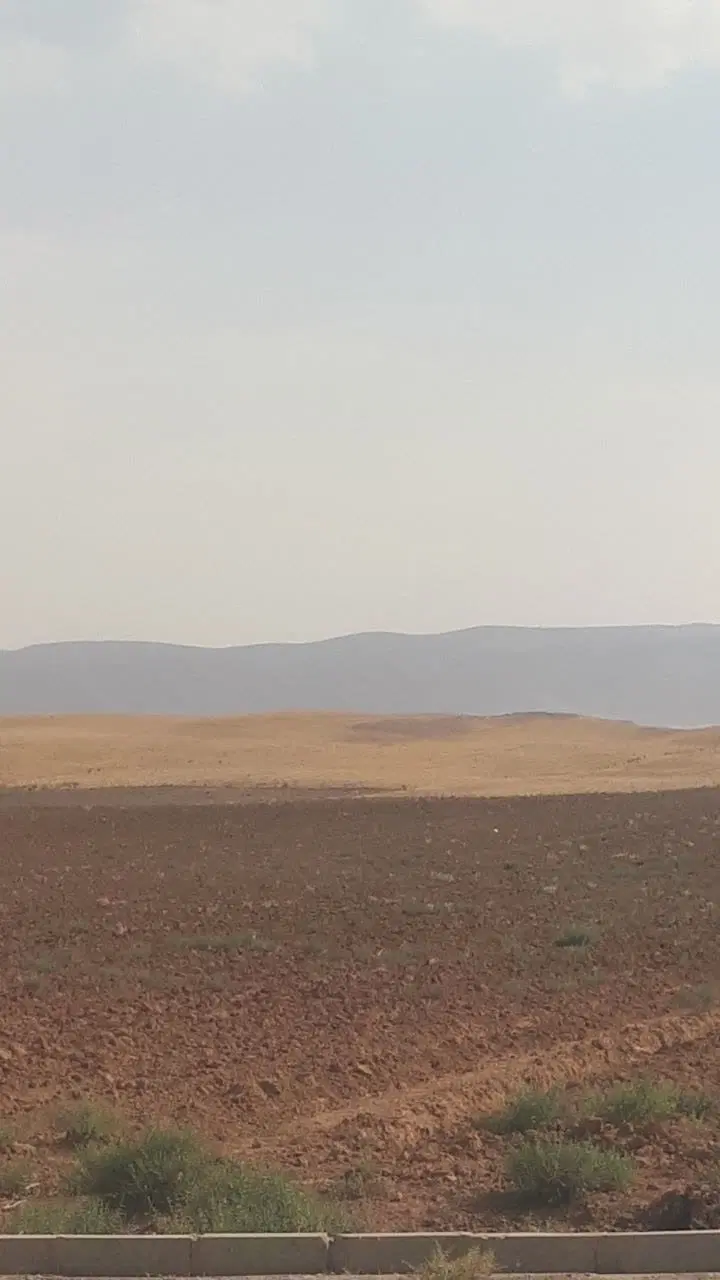 زمین ۲۸۰ متری در بیجار