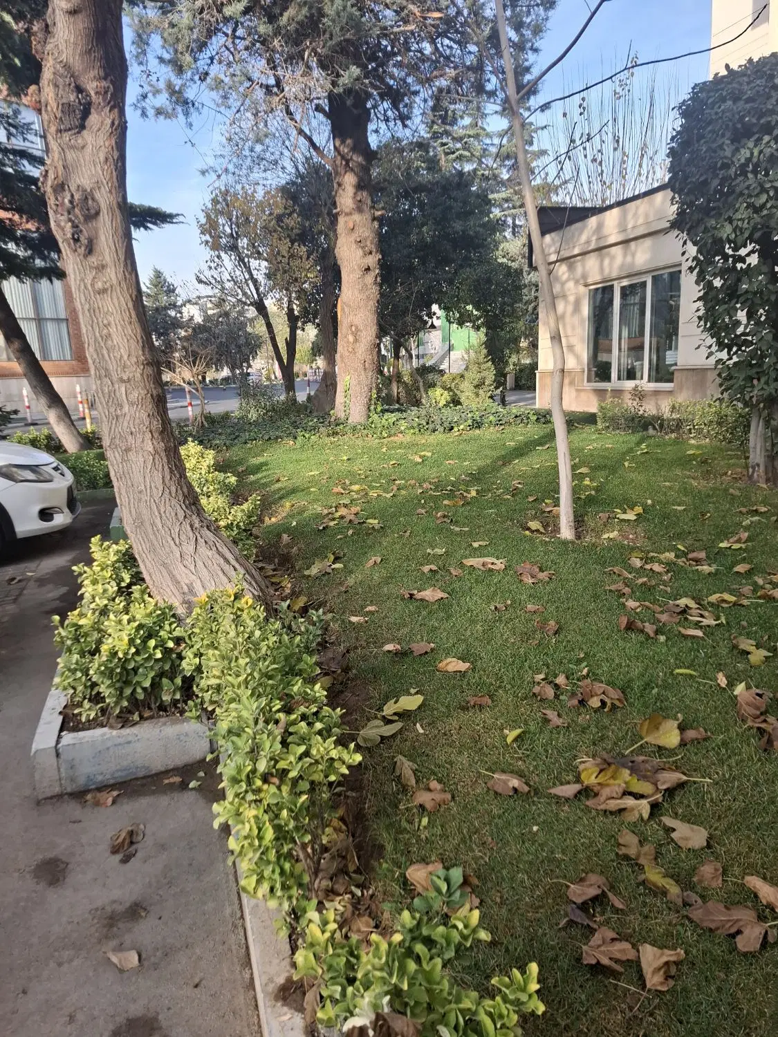 باغ