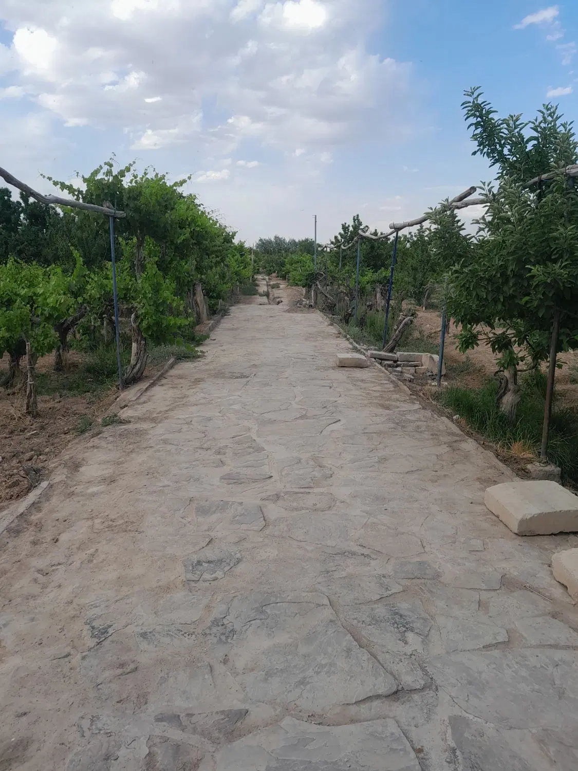 باغ ۱۷۵۰ متر  اول چناران شاهرود
