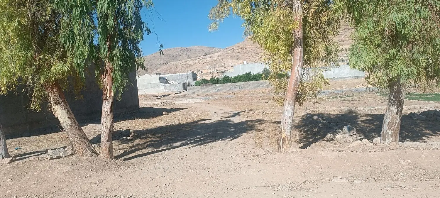 زمین تجاری