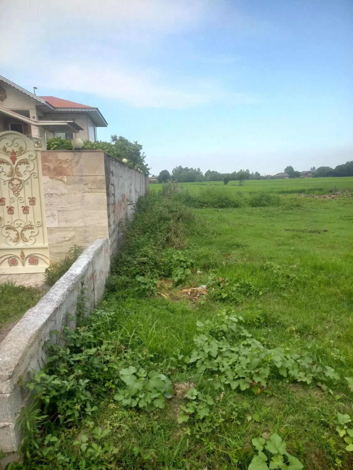 زمین در شمال