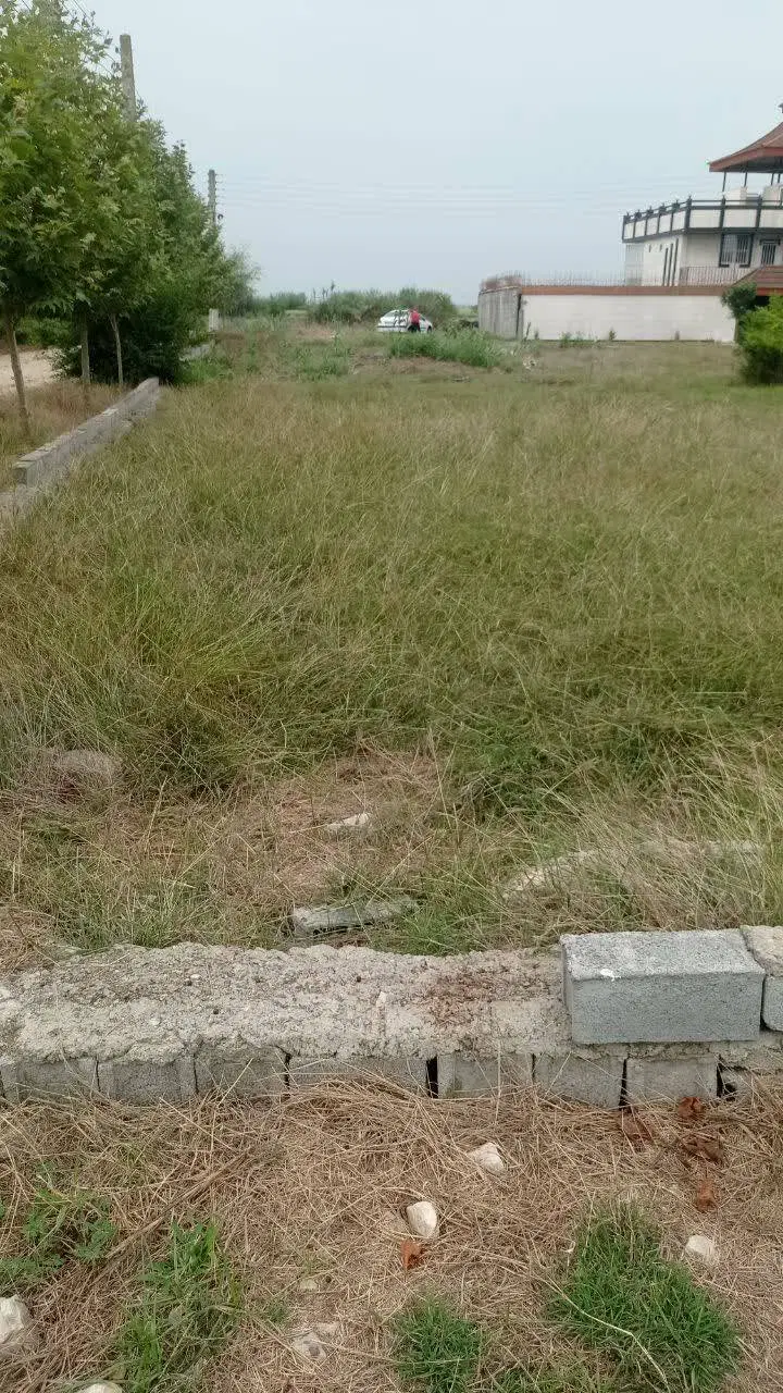 زمین