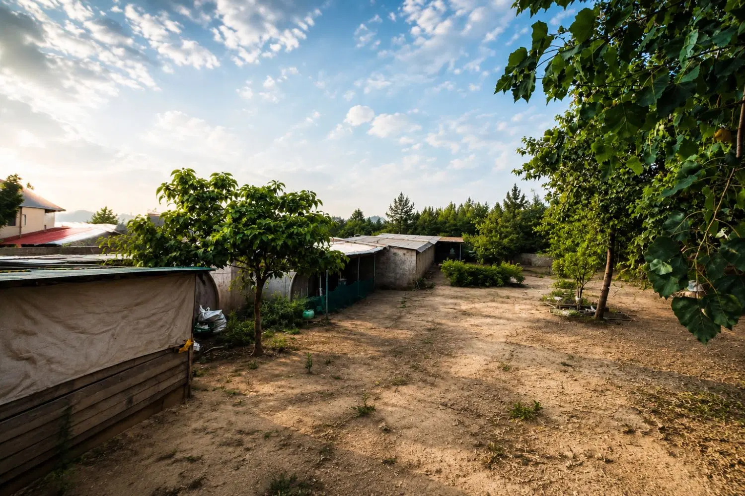 سقالکسار زمین مسکونی