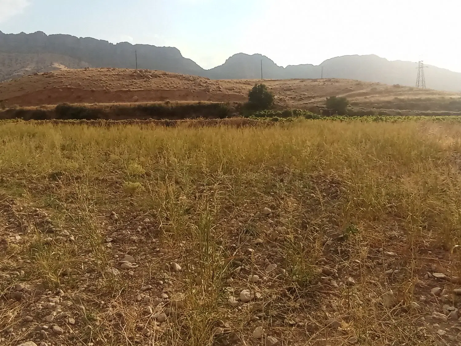 زمین آبی10من