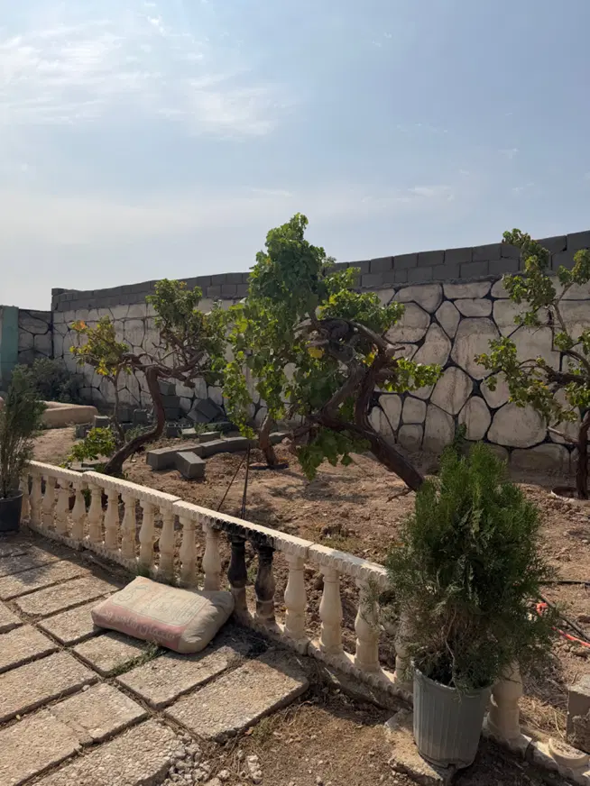 باغچه ۴۲۰ متر_ با سند رسمی _
