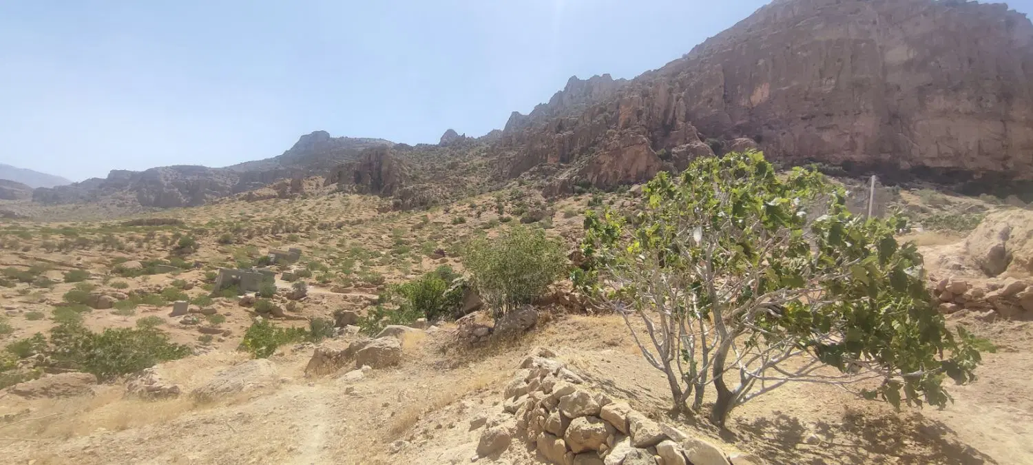 ملک پلنگان