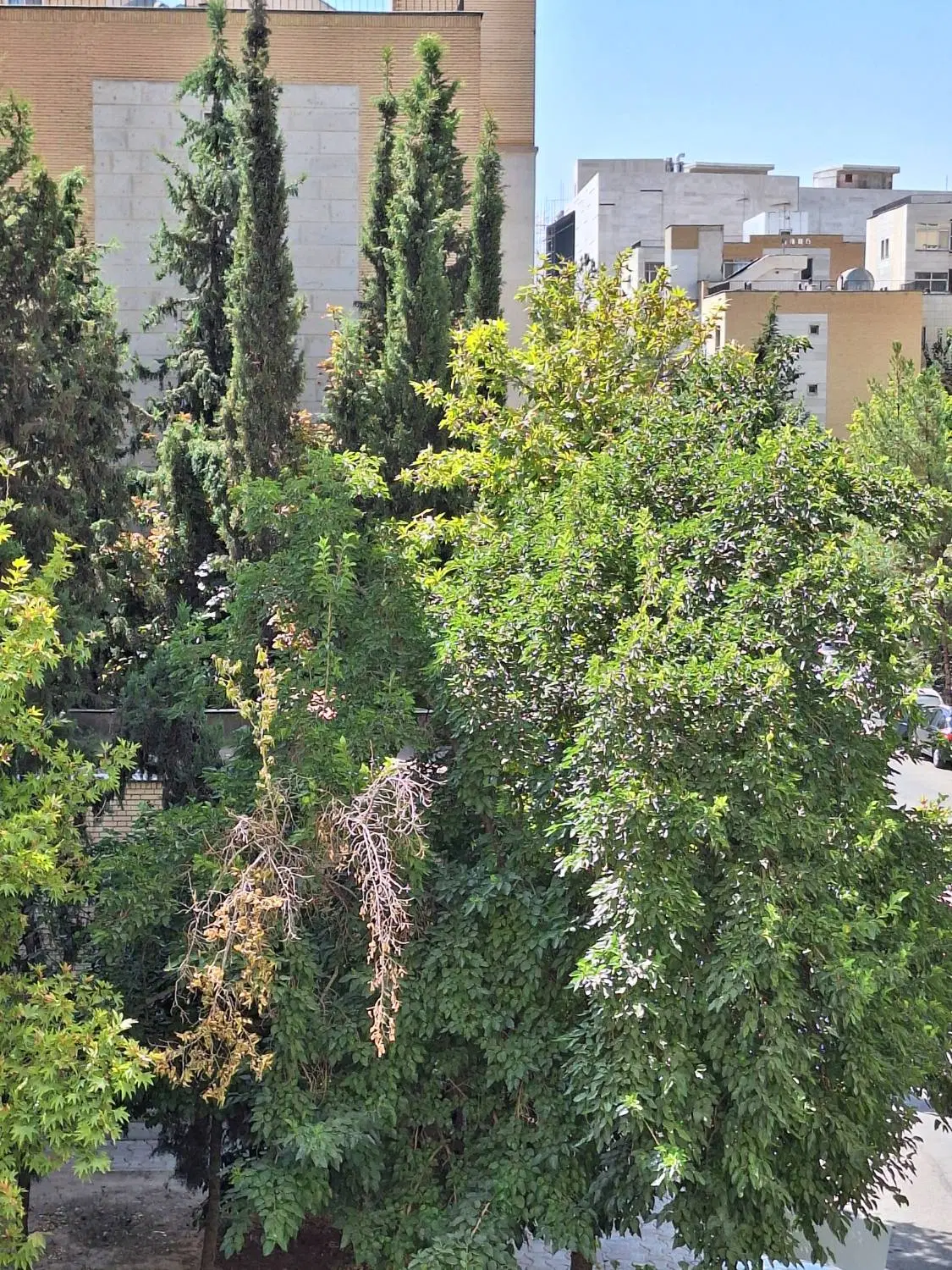۲ خوابه قدوسی غربی مبعث بدون مشرفیت آفتاب گیر