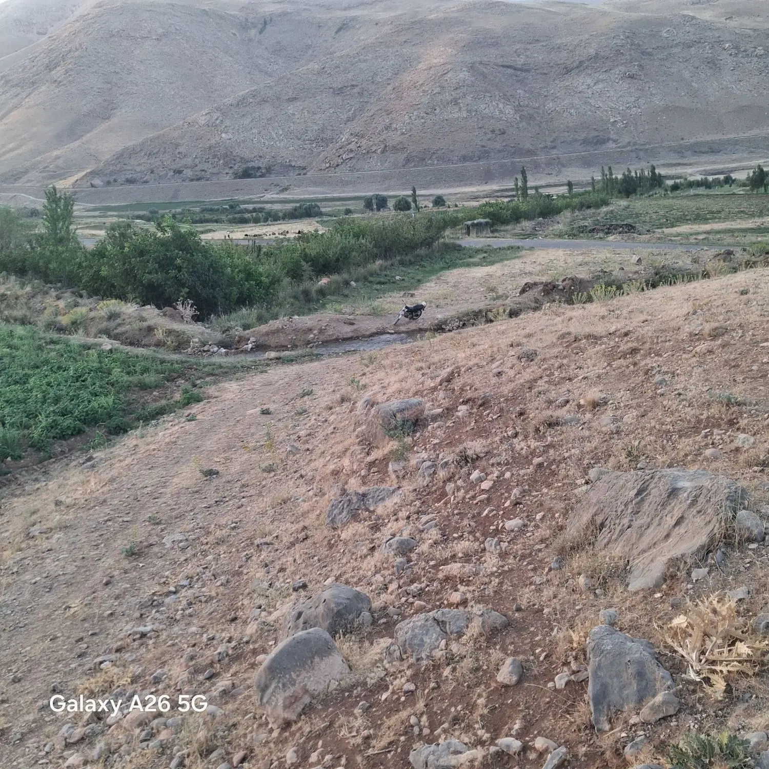 زمین باغ  با درخت گردو و میوه جات