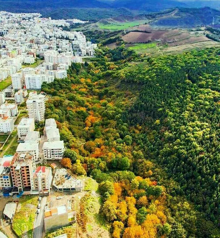 فروش یک قطعه زمین مسکونی در شمال