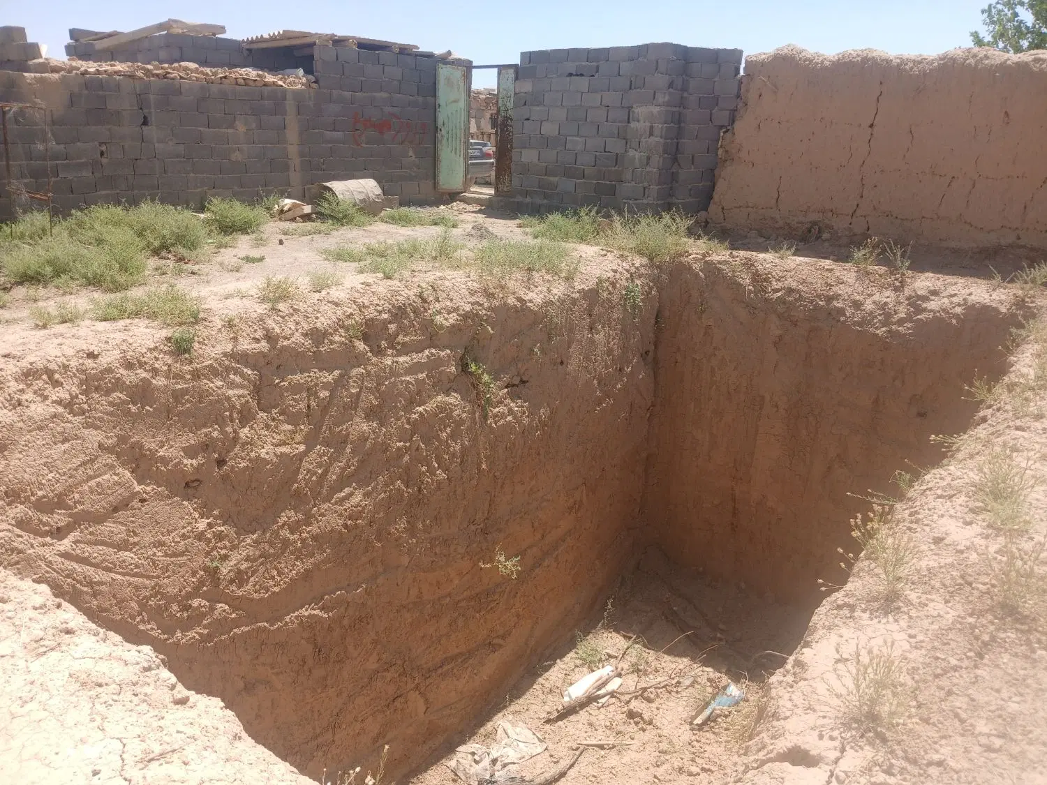 زمین باغی