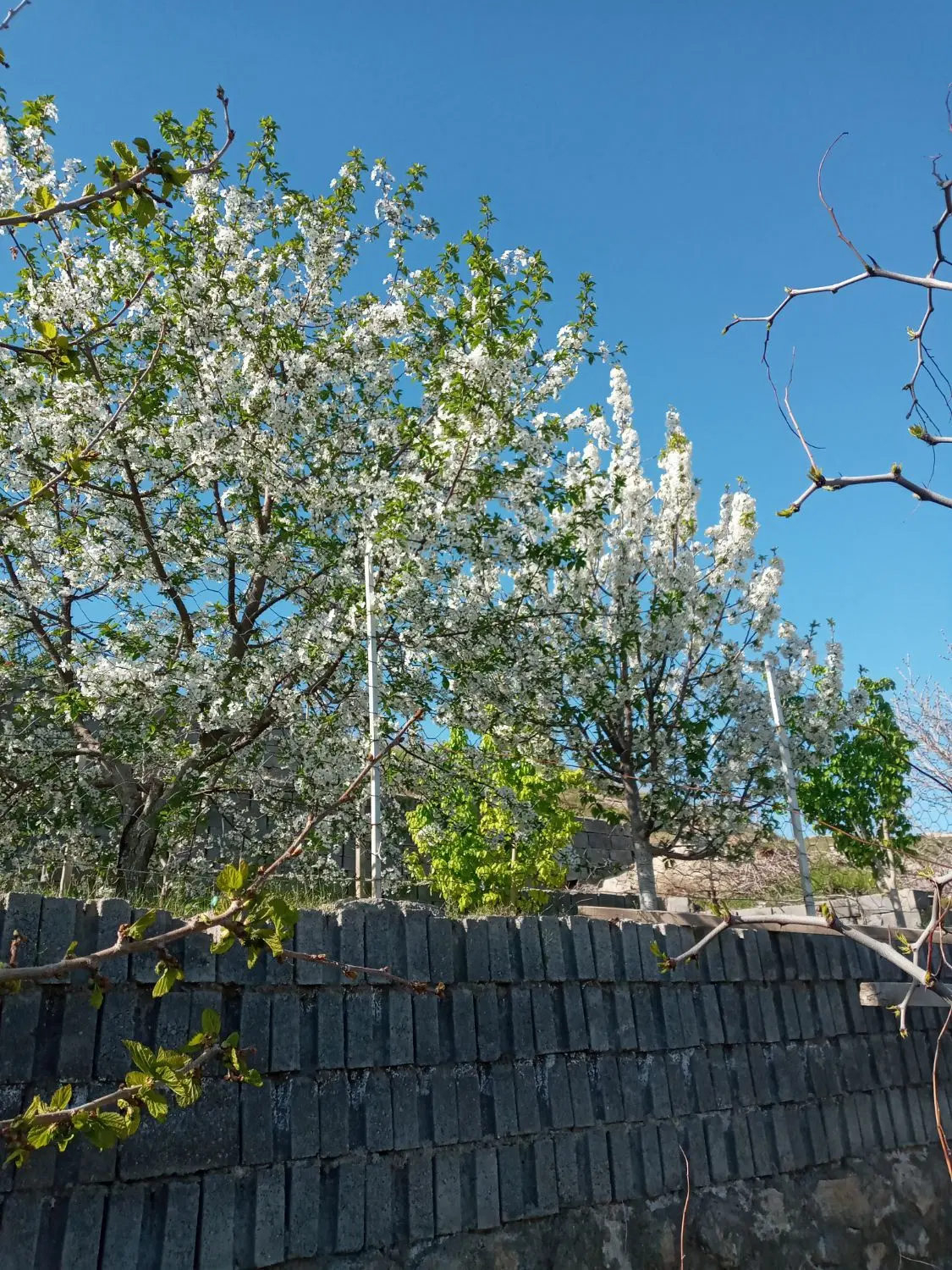 باغ در ده غیبی