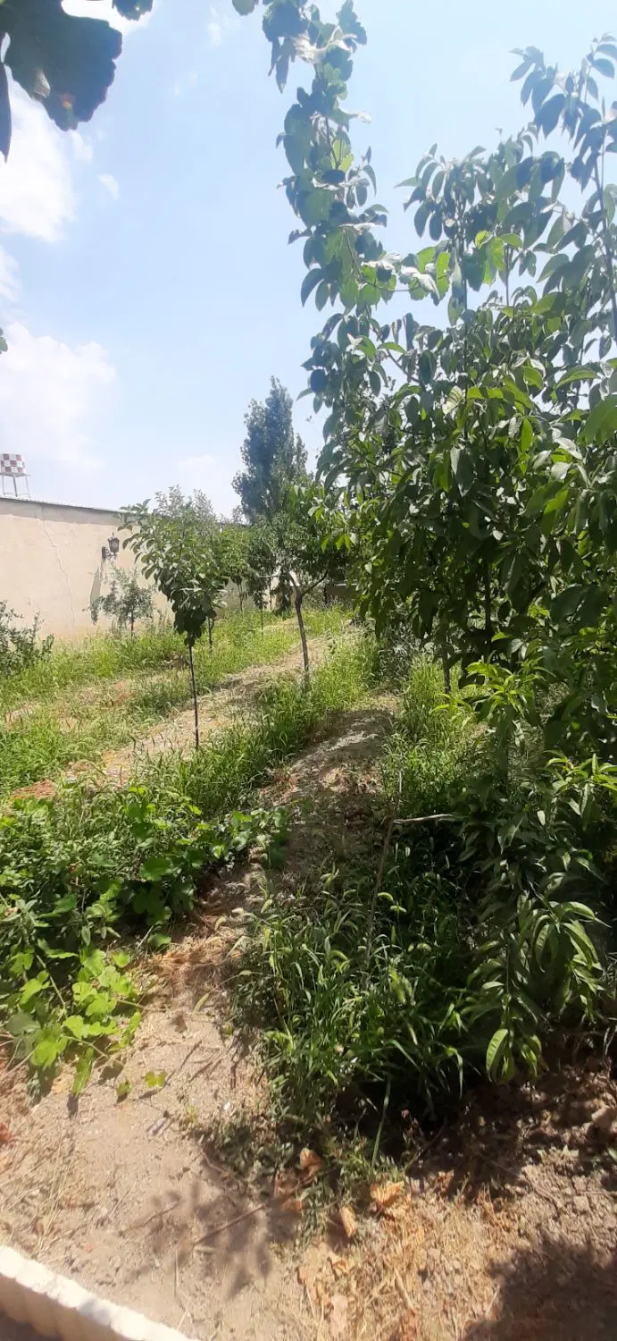 باغ ویلای کلاسیک ۵۰۰م_ چسب بافت آب برق گاز