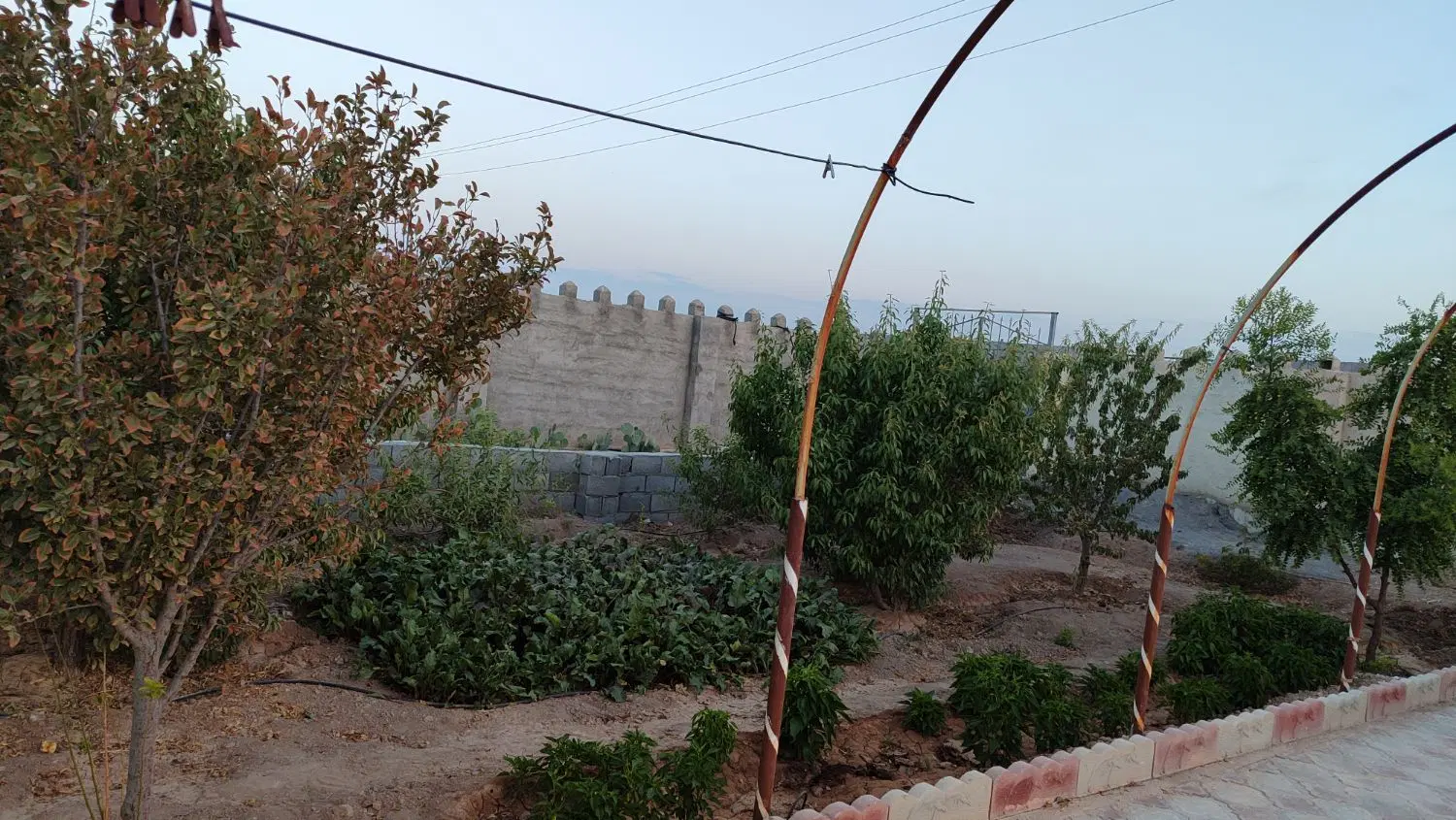 فروش باغ