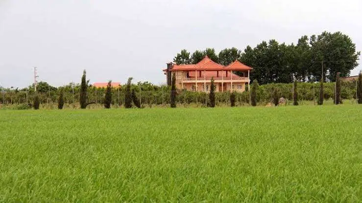 فروش زمین در مسیر خمام به انزلی
