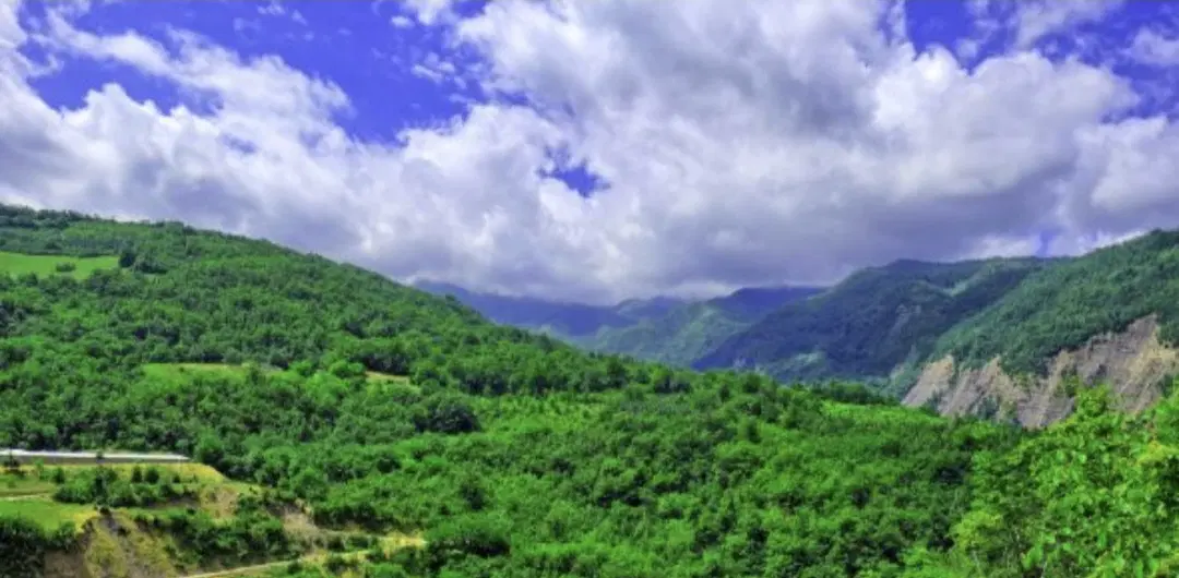 مزایده دو قطعه زمین در روستای النگ بالاجاده
