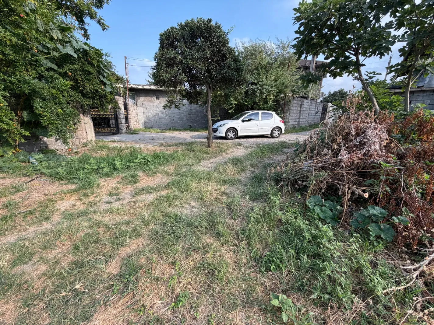 زمین جای خوب ۱۱۵۰