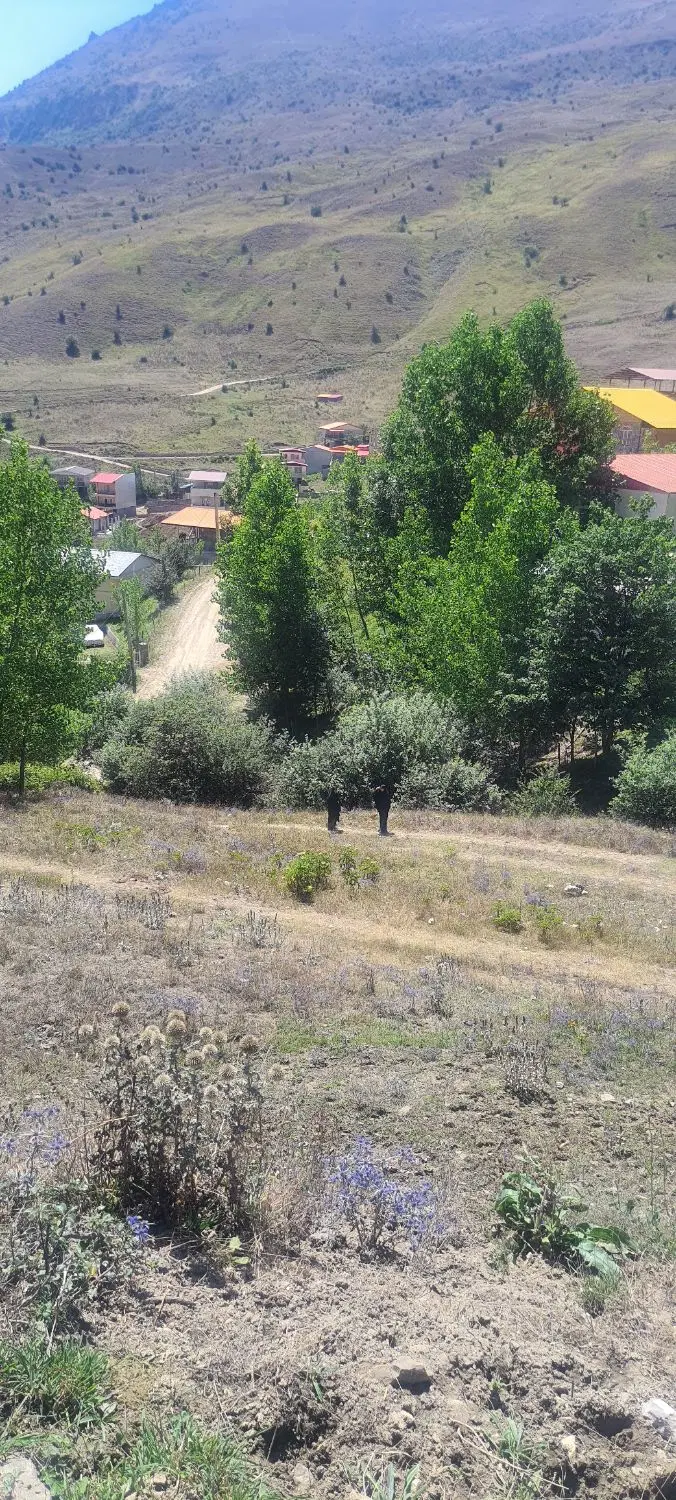 فروش زمین ییلاقی در سرخ آباد سوادکوه مازندران