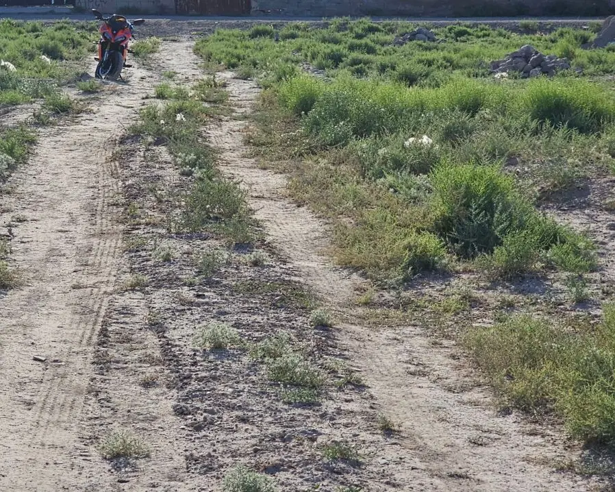 زمین ۶۰۰متری جهت باغ یا ویلا