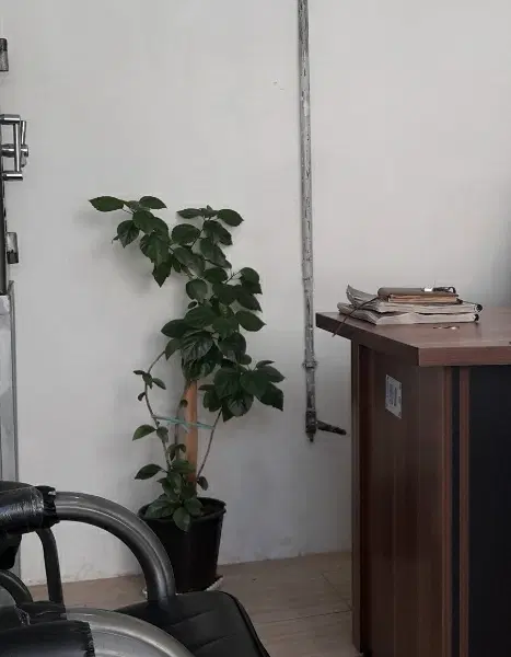 اجاره مغازه