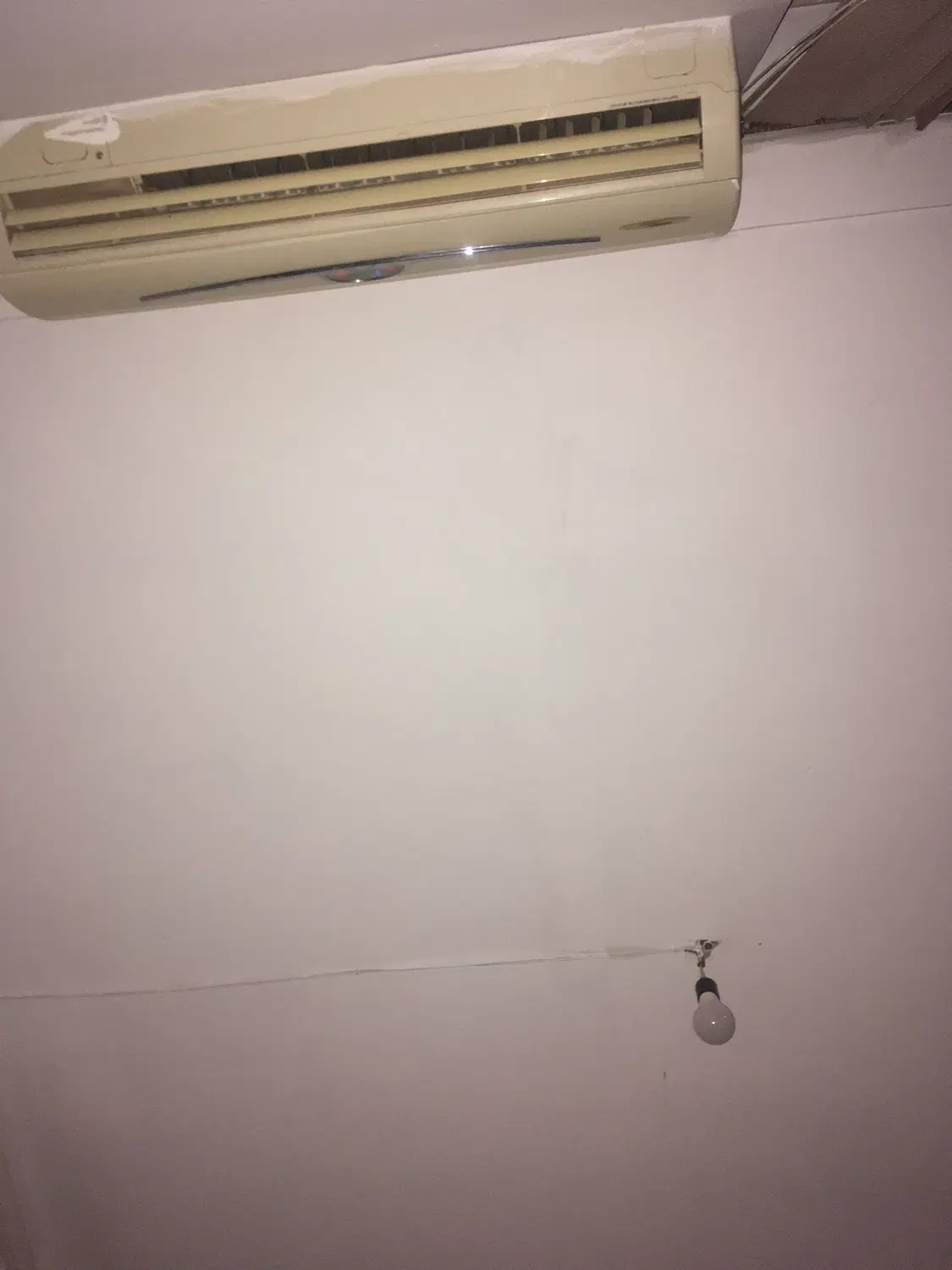 همخونه