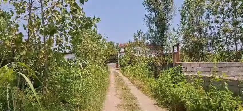 یک قطعه زمین بمتراژ ۳۶۵ متر واقع در باغ نظر