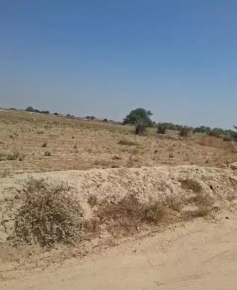 زمین باغی چاهبردی