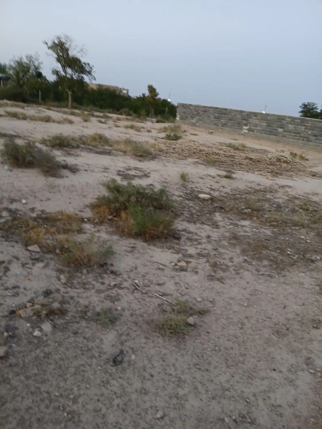 زمین فروشی