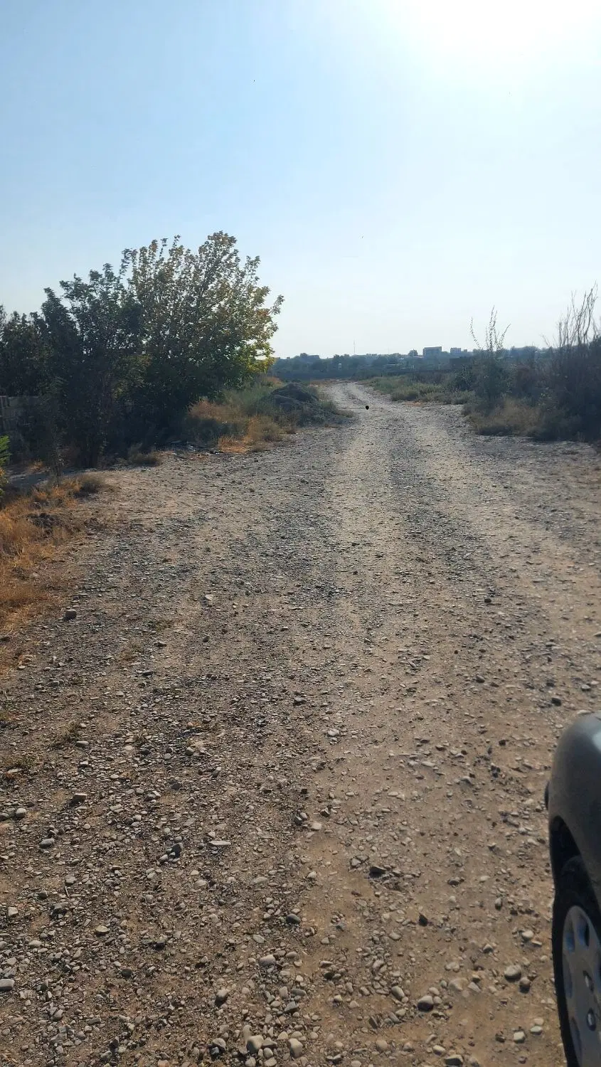 زمین ۱۰۰ متری سند دار در بیدگنه