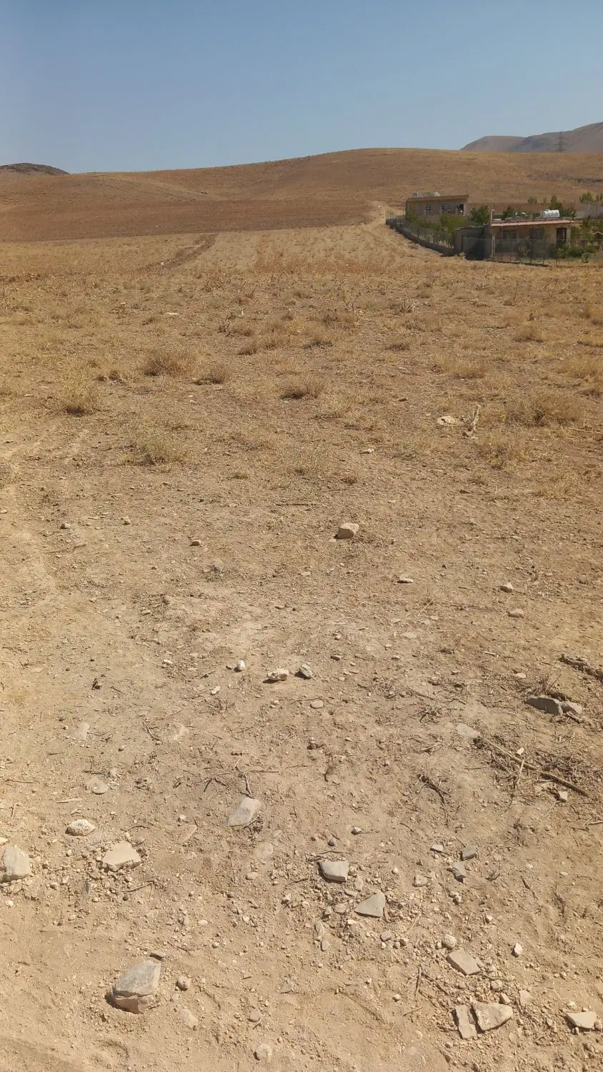 زمین کشاورزی