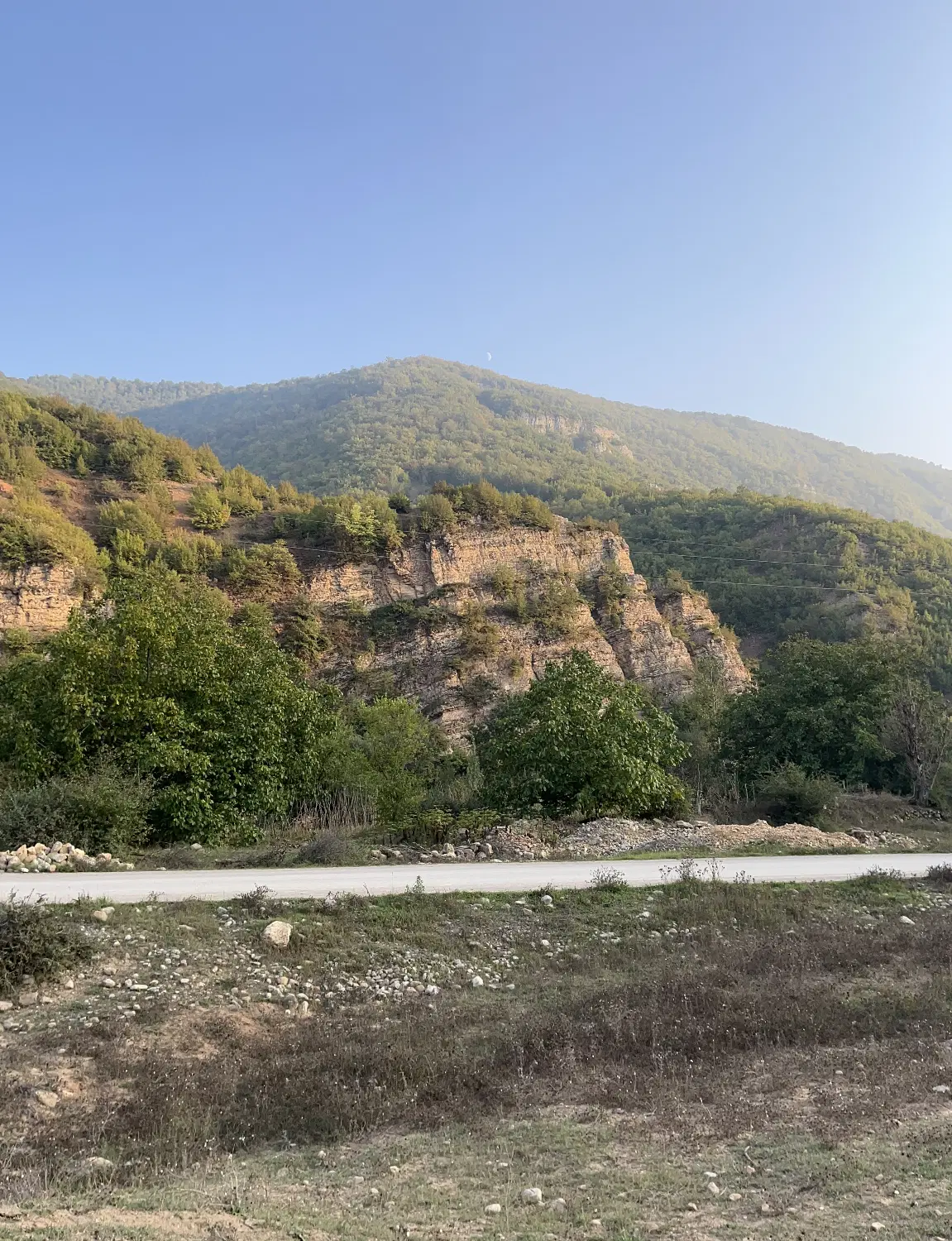 زمین کشاورزی