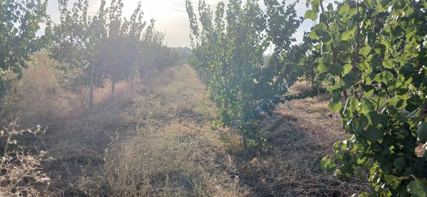 باغ در بر اتوبان جلفا .مرند بمتراژ ۱۹۰۰ متر با آب