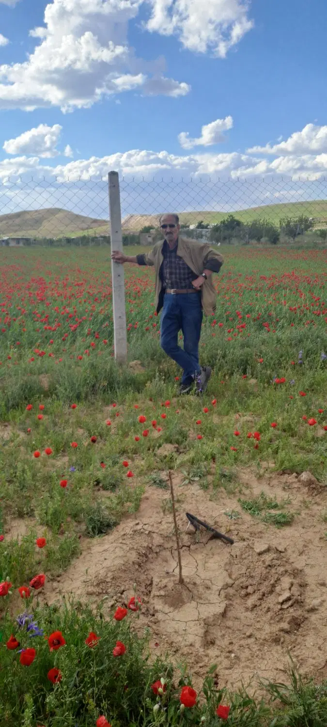 هزار متر زمین باغ در روستای چبرزخ