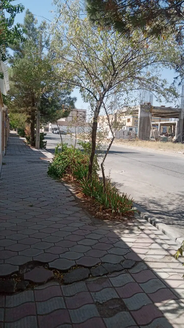نبش نیمروز 25منزل کلنگی
