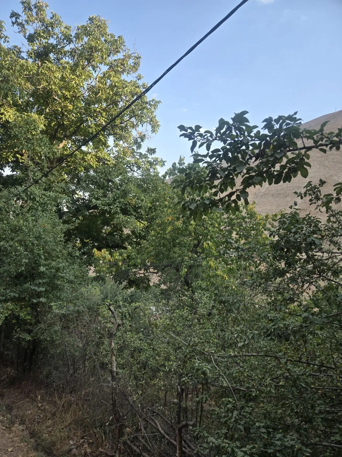 فروش زمین
